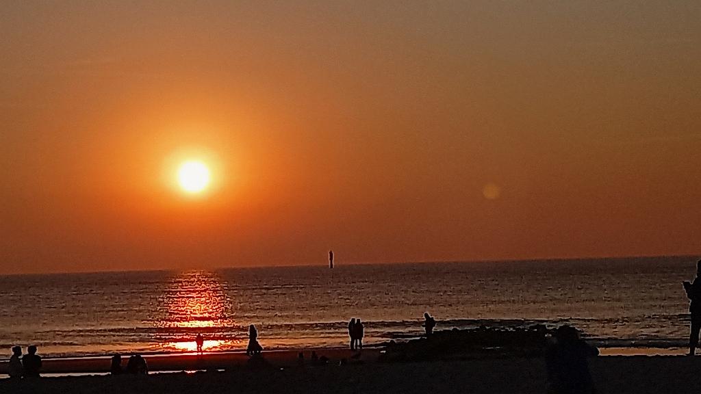 Sylt (59)